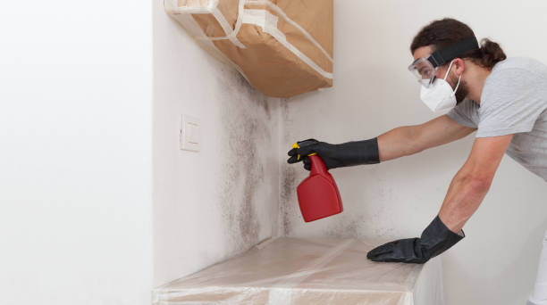 Professional Black Mold Remediation technician working in Riverside, MD